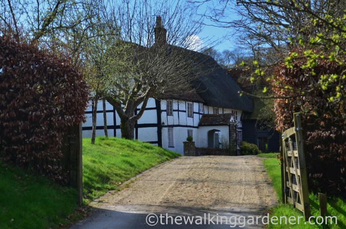 Thatched cottage, Chilcomb