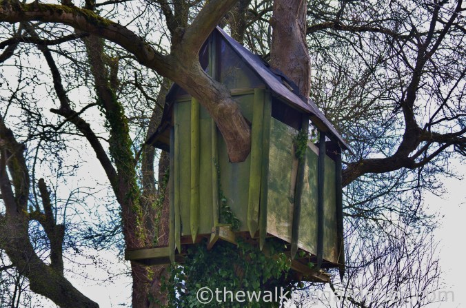 Tree-house, Chilcomb