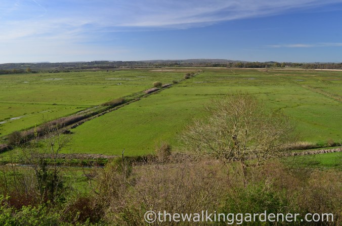 Amberley wild brooks