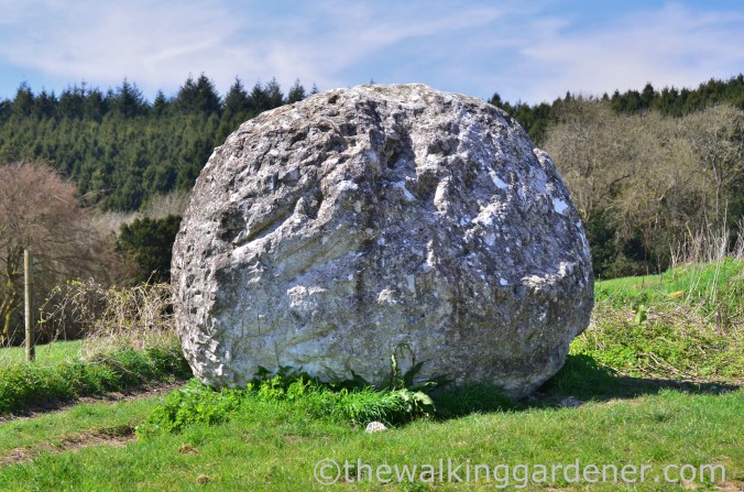 chalk stone Andy Goldsworthy