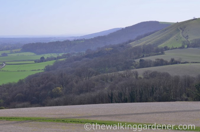 South Downs Way Day 3 (17)