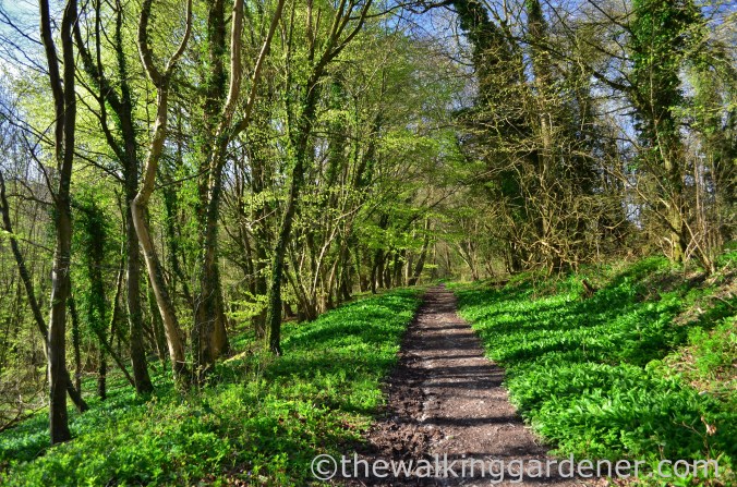 South Downs Way Day 3 (2)