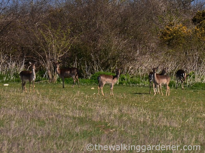 South Downs Way Day 3 (23)