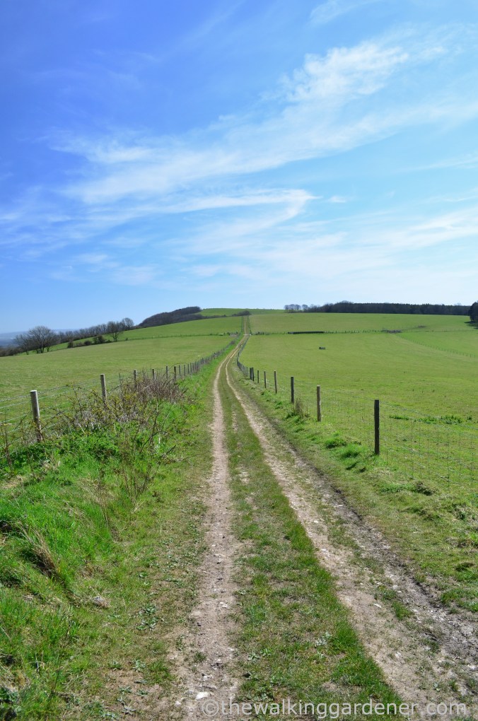 South Downs Way Day 3 (25)