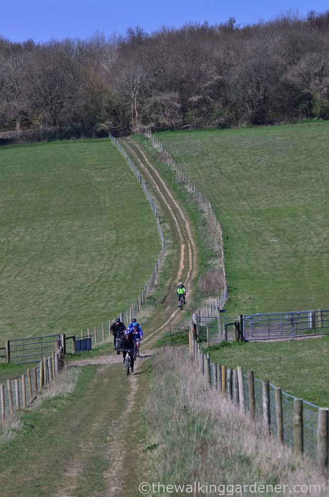South Downs Way Day 3 (26)