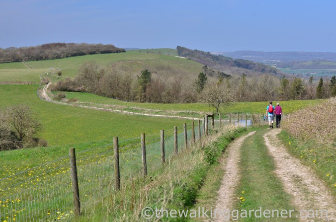 South Downs Way Day 3 (29)
