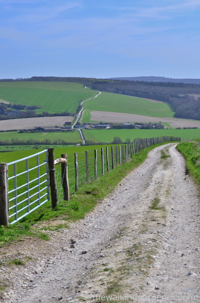South Downs Way Day 3 (30)