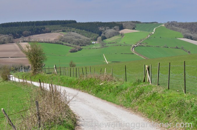 South Downs Way Day 3 (34)