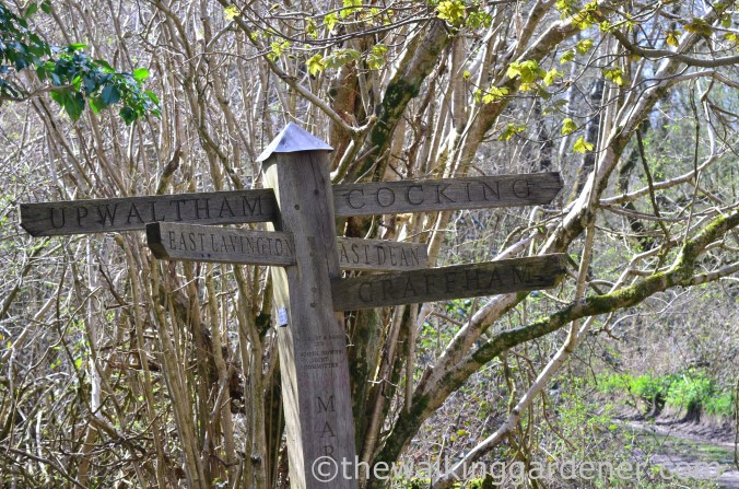 South Downs Way Day 3 (38)