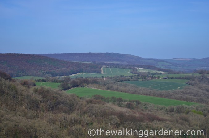 South Downs Way Day 3 (6)