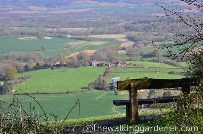South Downs Way Day 3 (7)