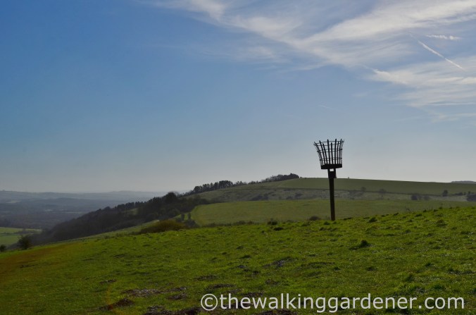 South Downs Way Day 3 (8)