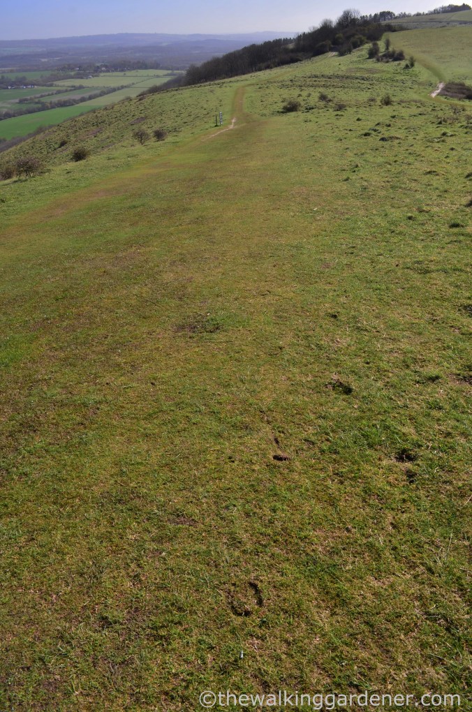 South Downs Way Day 3 (9)