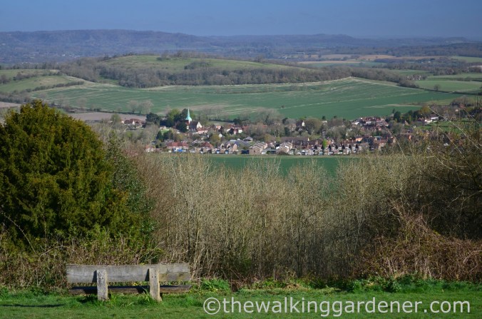 South Harting, South Downs Way