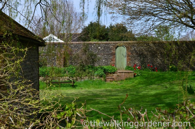 south-downs-way-day-4-11