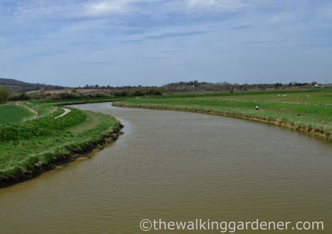 south-downs-way-day-4-13