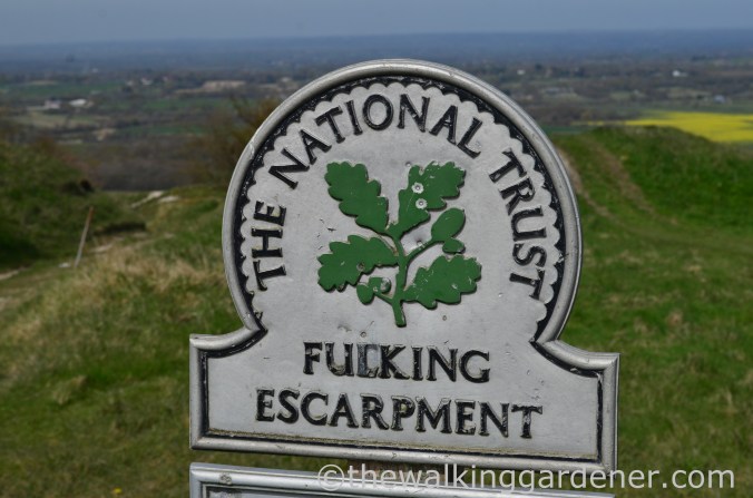 south-downs-way-day-4-16