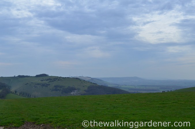 south-downs-way-day-4-22