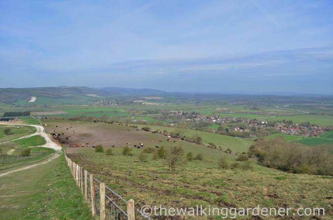 south-downs-way-day-4-4