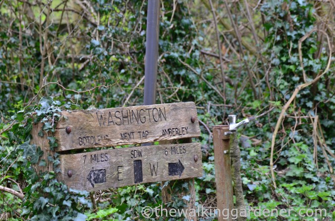 south-downs-way-day-4-5