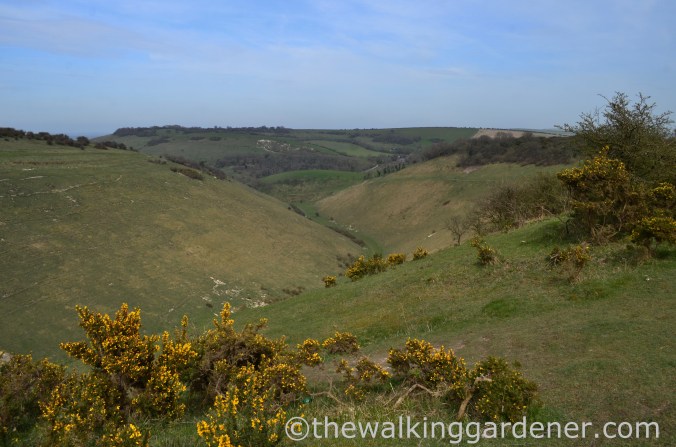 devils-dyke-4