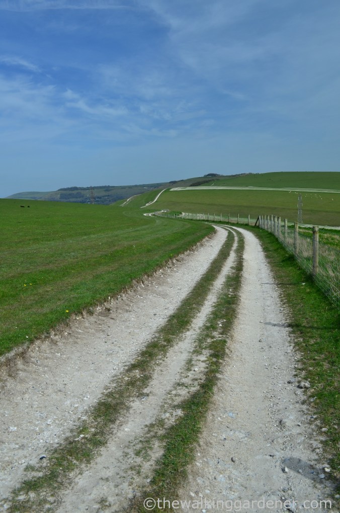 south-downs-way-day-4-19