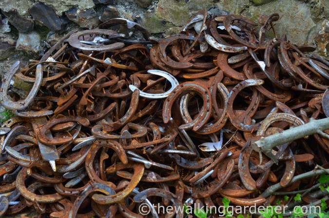 discarded-horseshoes