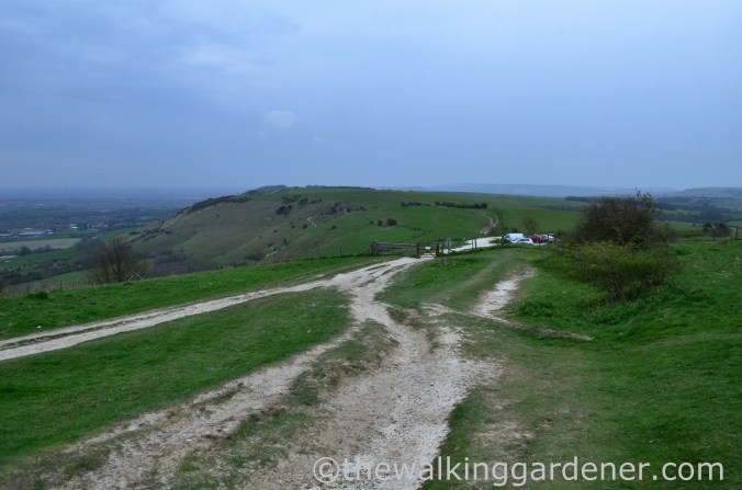 ditchling-beacon-2