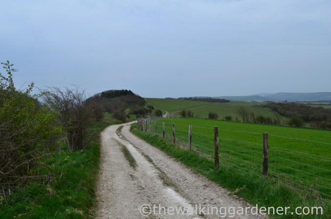 pyecombe-to-southease-south-downs-way-20