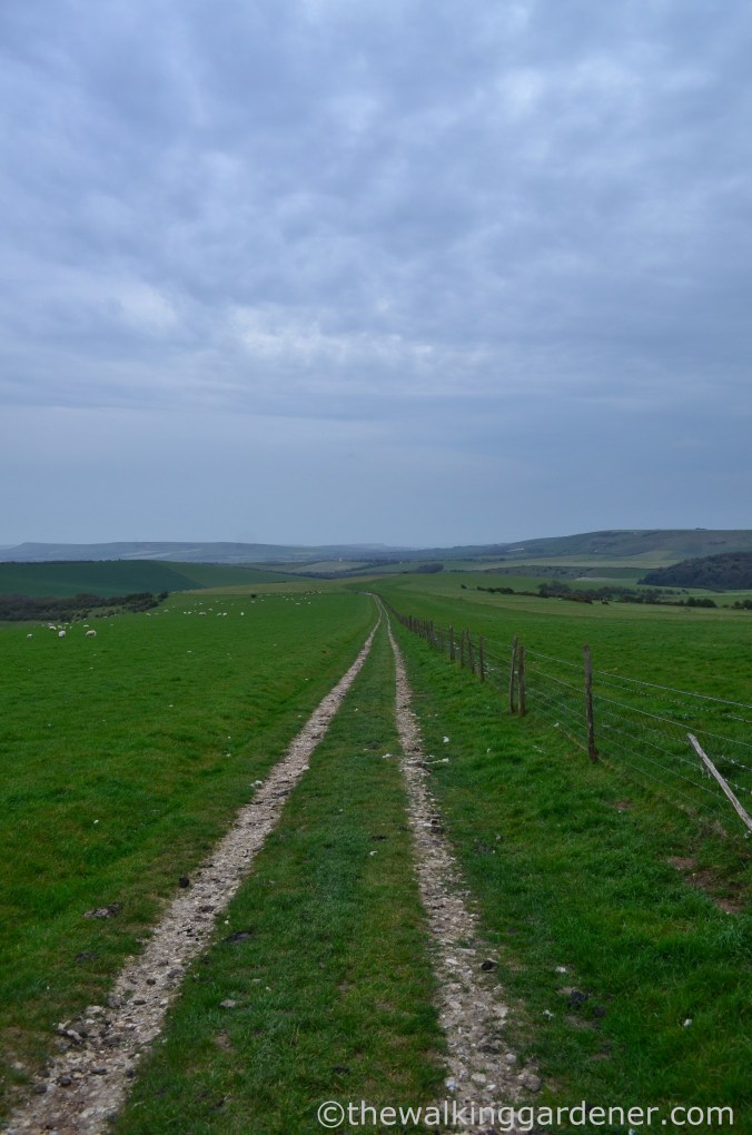 pyecombe-to-southease-south-downs-way-22