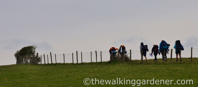 pyecombe-to-southease-south-downs-way-26