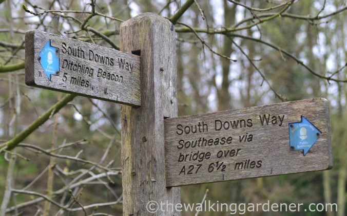 pyecombe-to-southease-south-downs-way-29