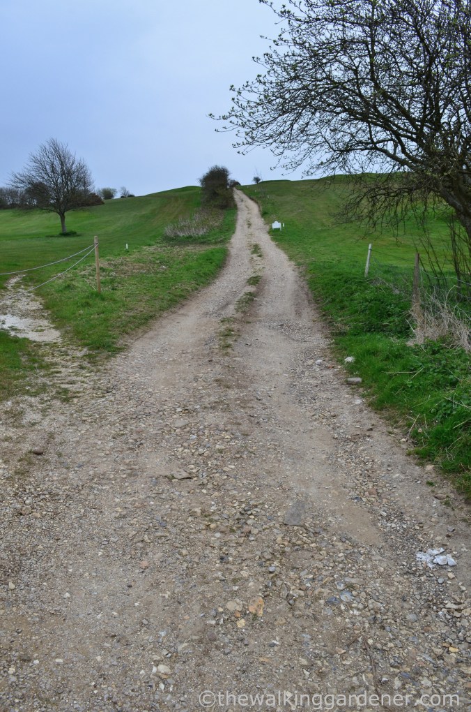 pyecombe-to-southease-south-downs-way-3