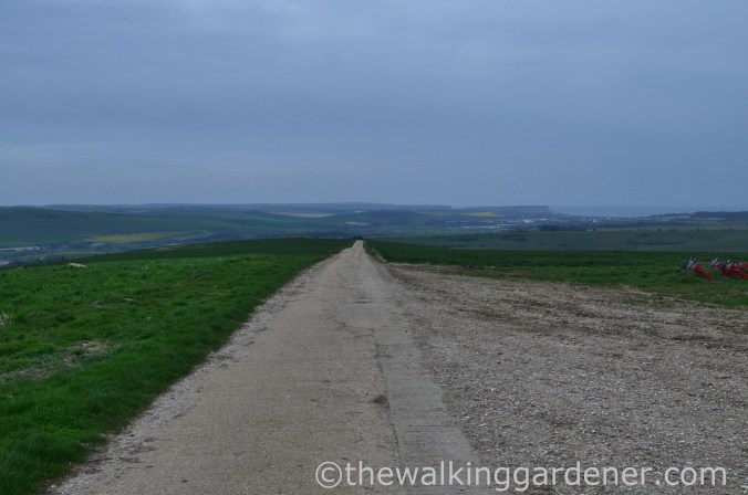 pyecombe-to-southease-south-downs-way-42