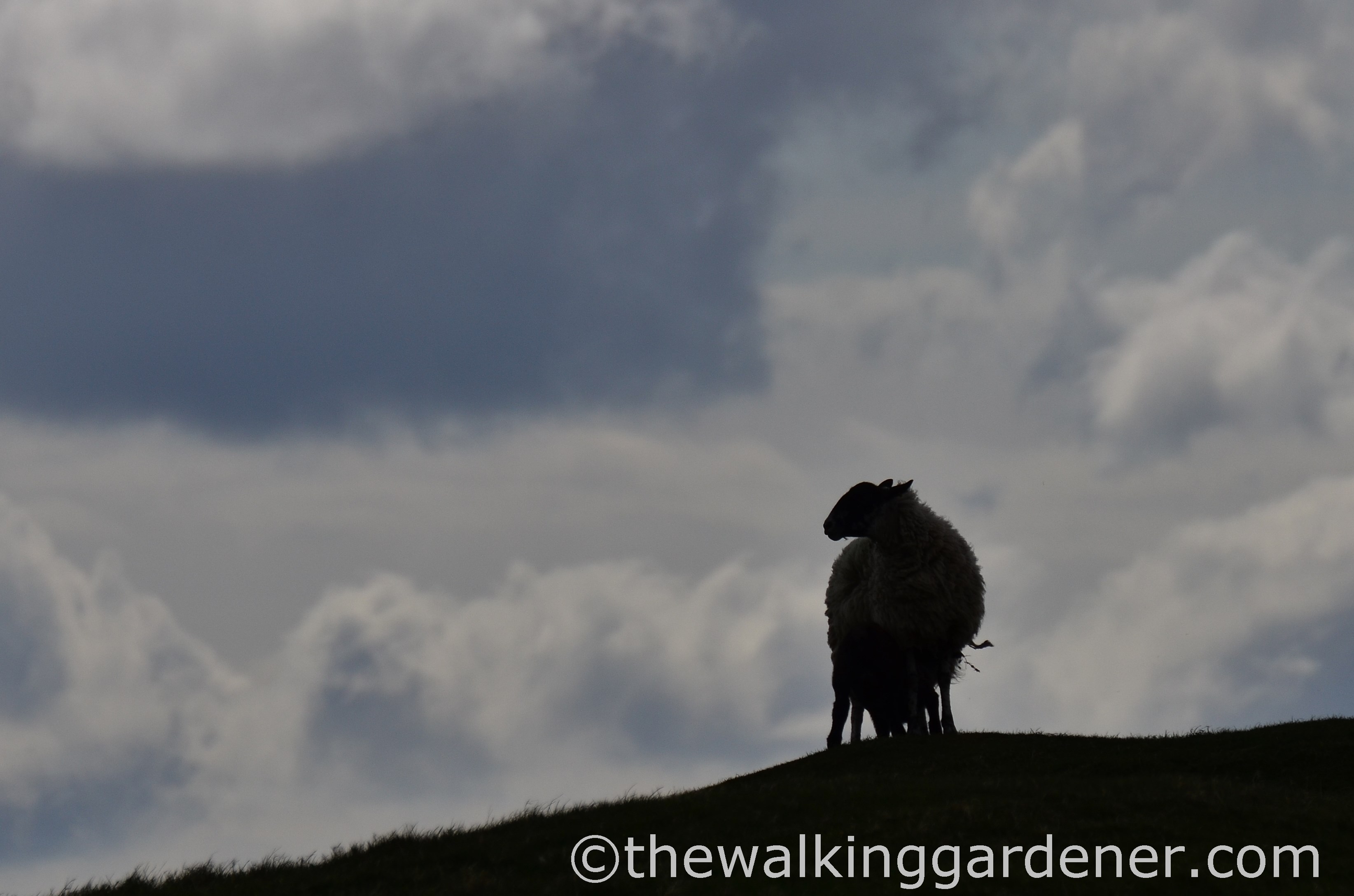 south-downs-way-southease-to-eastbourne-16