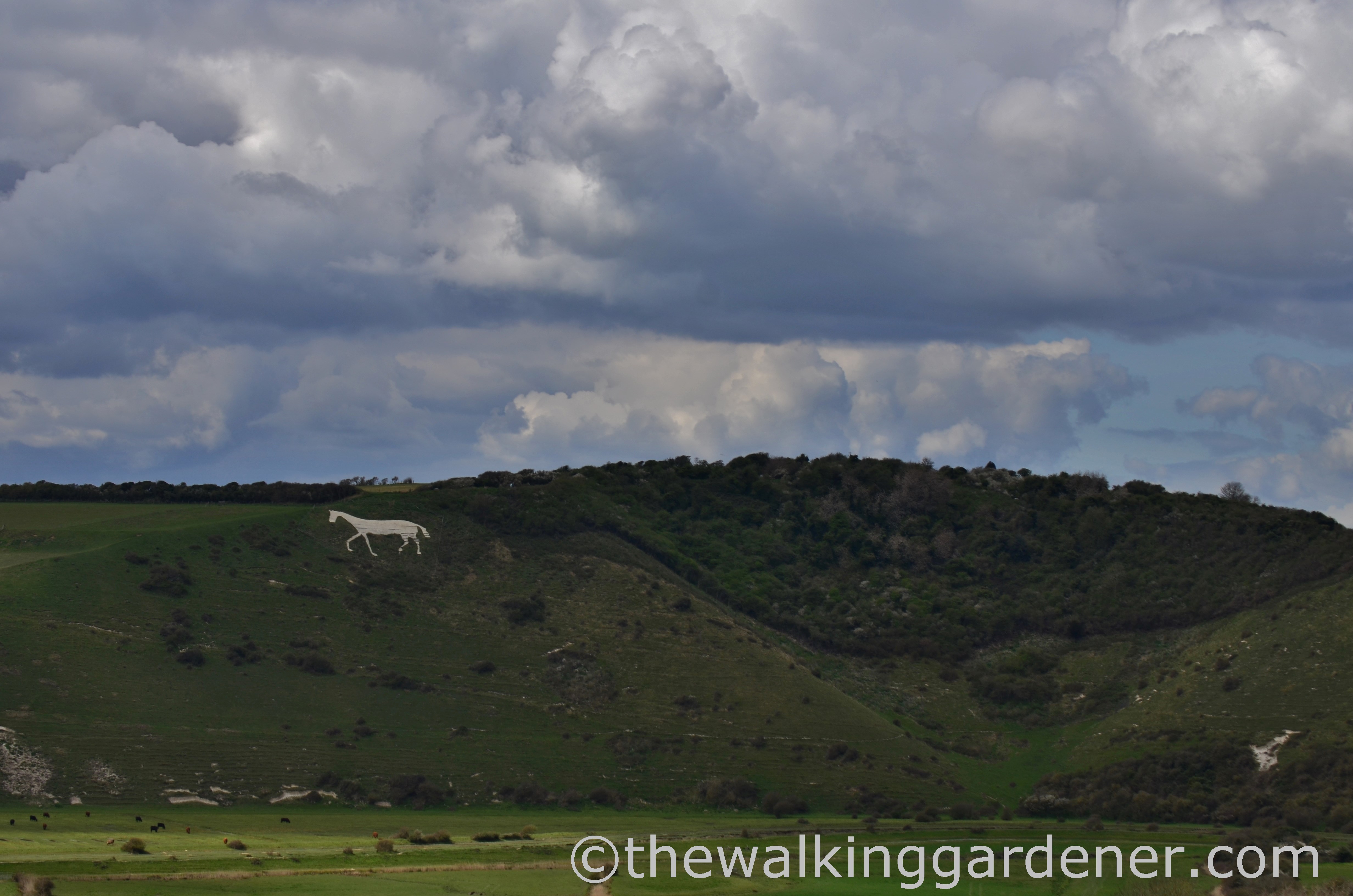 south-downs-way-southease-to-eastbourne-26