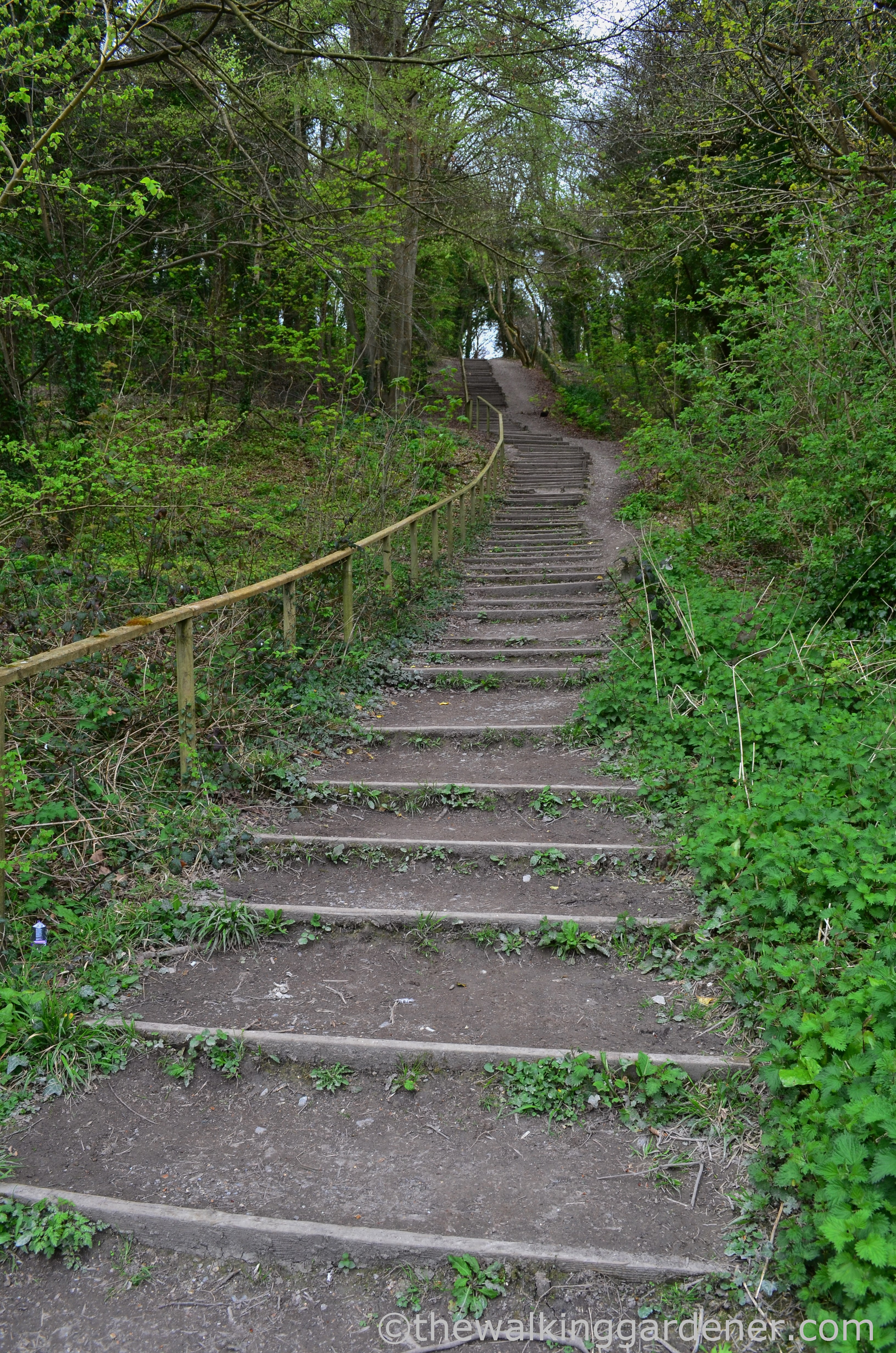 south-downs-way-southease-to-eastbourne-27