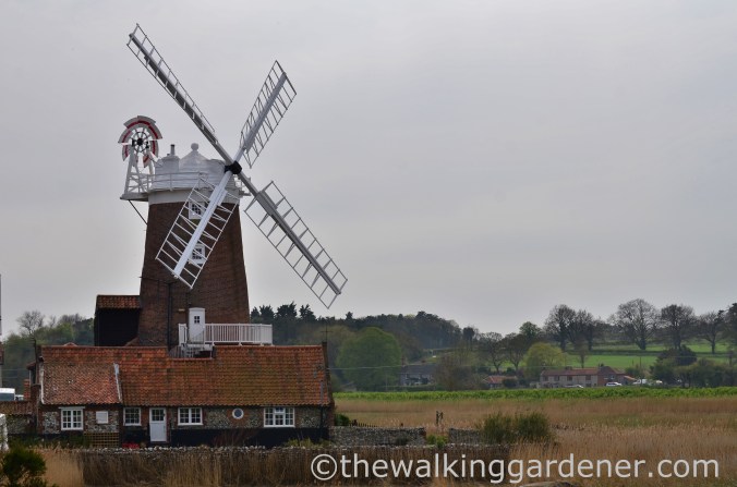 Cley Windmill (1)