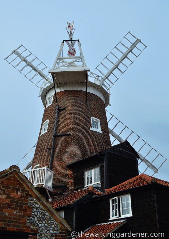 Cley Windmill (2)