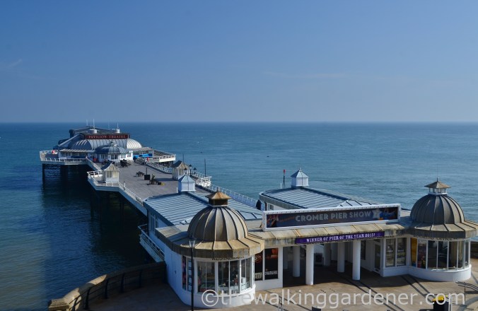 Cromer Pier
