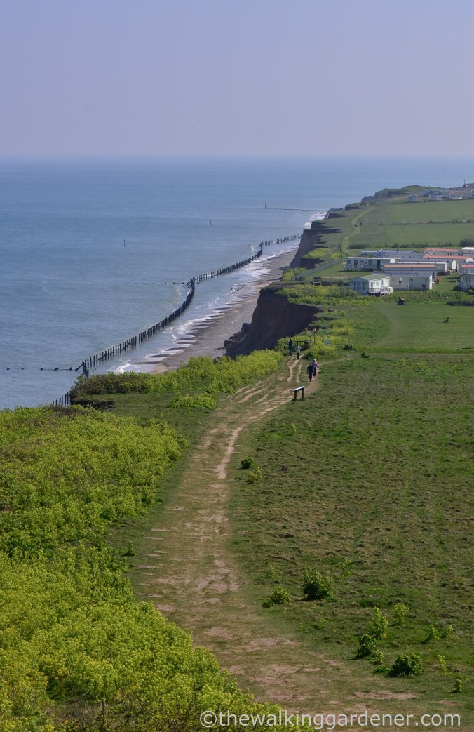 Cromer to Blakeney (10)