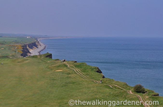 Cromer to Blakeney (12)