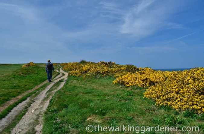 Cromer to Blakeney (15)
