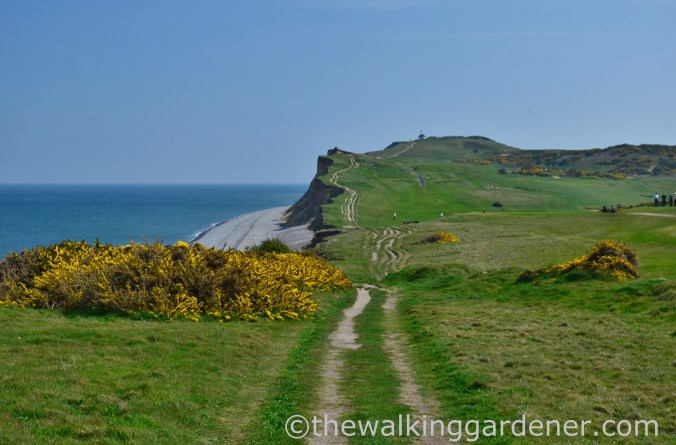 Cromer to Blakeney (16)