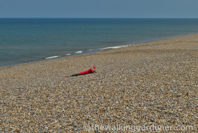 Cromer to Blakeney (19)