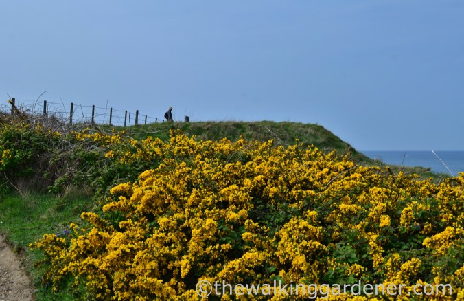 Cromer to Blakeney (20)