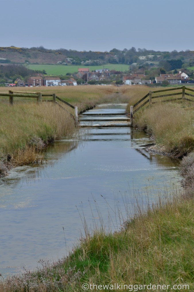 Cromer to Blakeney (29)