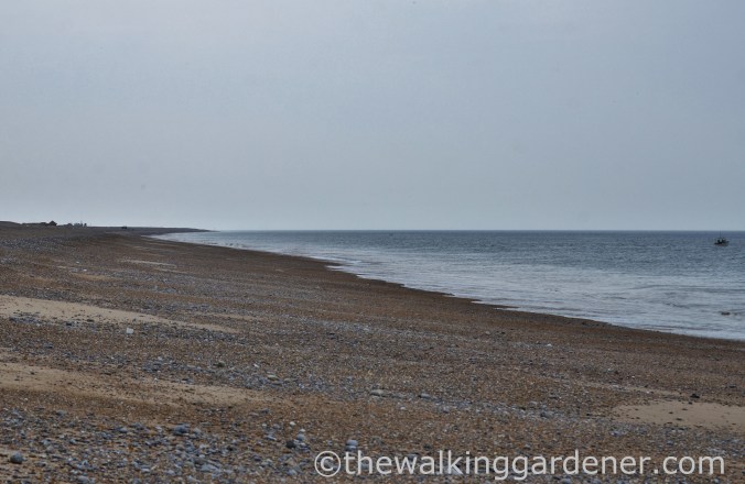 Cromer to Blakeney (30)