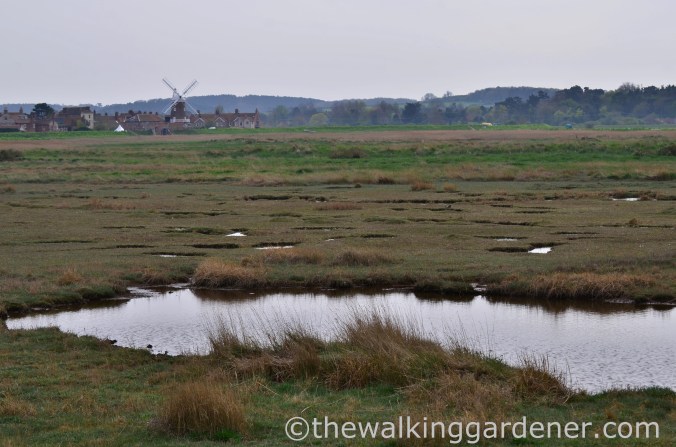 Cromer to Blakeney (31)