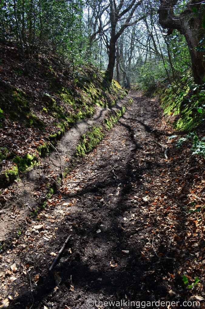 Cromer to Blakeney (6)
